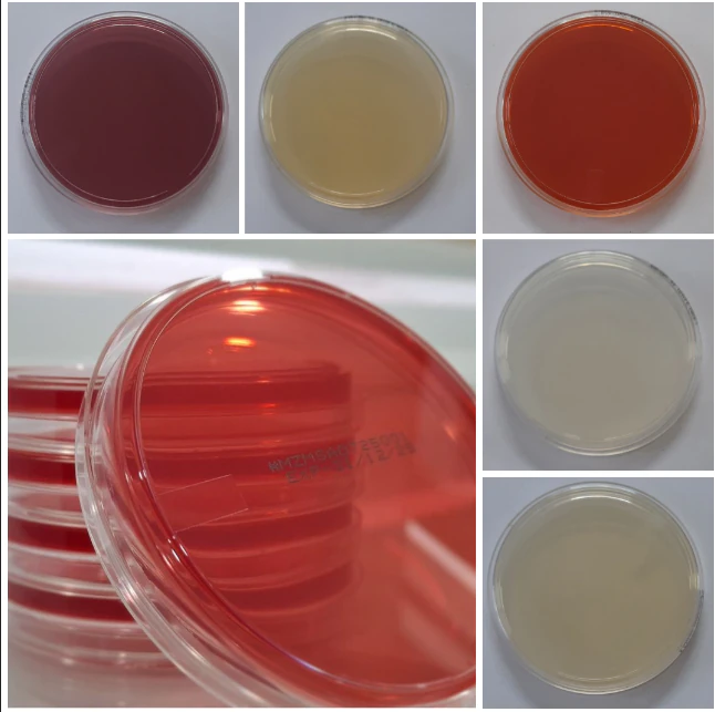 Prepared ready-to-use microbiology media products