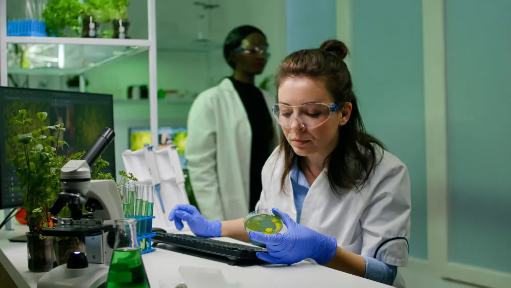 Microbiology testing equipment in the Mediviz laboratory