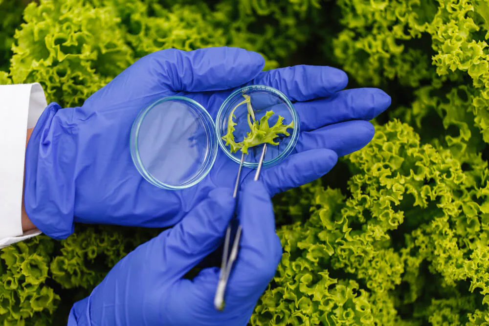 Microbiology laboratory consumables and equipment